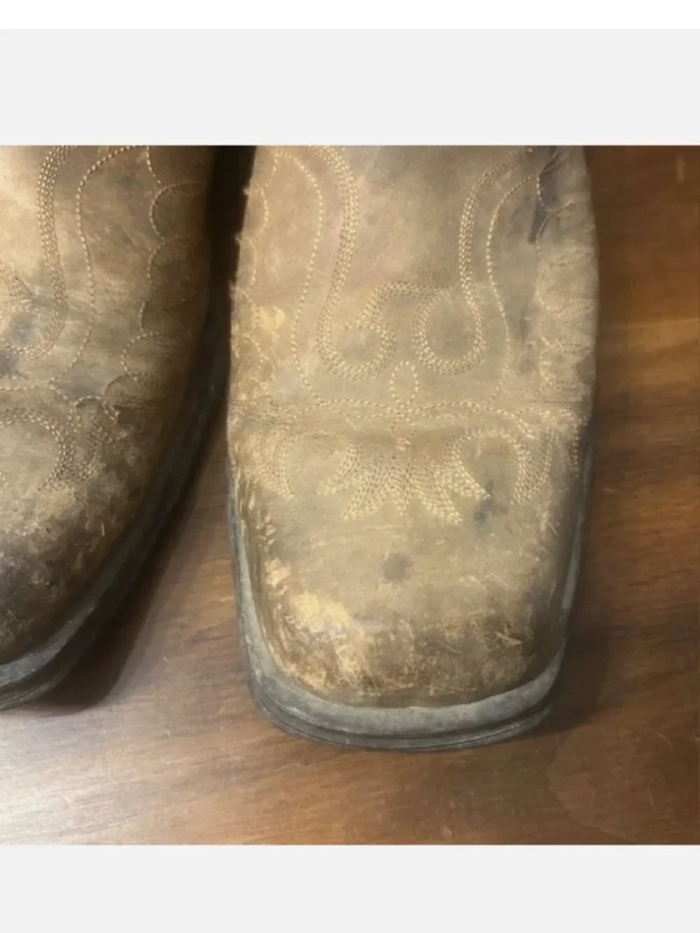 Ariat Rambler Phoenix 11